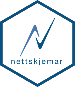 nettskjemar hex sticker